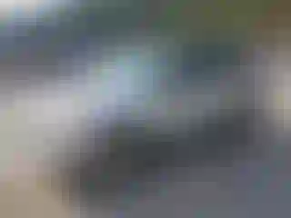 Vehicle Image- 2009 Ford Escape