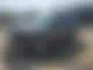 Vehicle Image- 2009 Ford Escape
