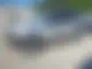 Vehicle Image- 2009 Ford Escape