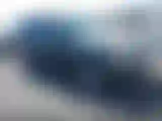 Vehicle Image- 2009 Ford Escape
