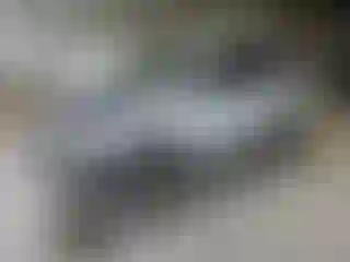 Vehicle Image- 2009 Ford Escape