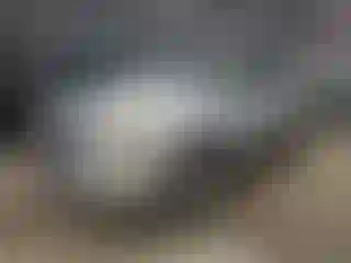 Vehicle Image- 2009 Ford Escape