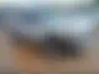 Vehicle Image- 2009 Ford Escape