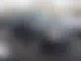 Vehicle Image- 2009 Ford Escape