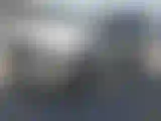 Vehicle Image- 2009 Ford Escape