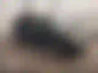 Vehicle Image- 2009 Ford Escape