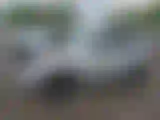 Vehicle Image- 2009 Ford Escape