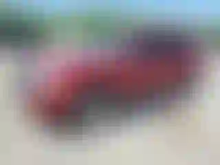 Vehicle Image- 2009 Ford Escape