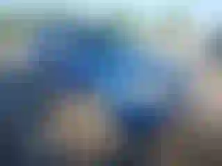 Vehicle Image- 2009 Ford Escape