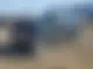 Vehicle Image- 2009 Ford Escape