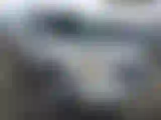 Vehicle Image- 2008 Ford Escape