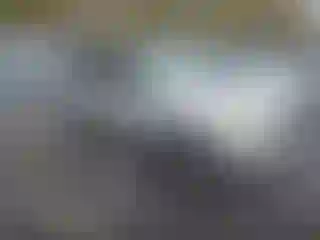 Vehicle Image- 2008 Ford Escape