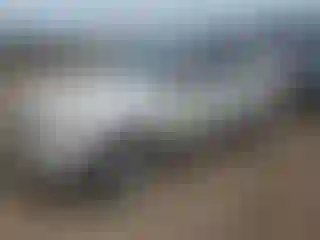 Vehicle Image- 2008 Ford Escape