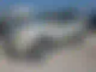 Vehicle Image- 2008 Ford Escape