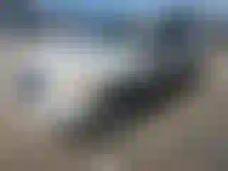 Vehicle Image- 2008 Ford Escape