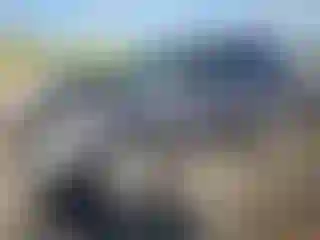 Vehicle Image- 2008 Ford Escape