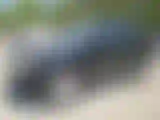 Vehicle Image- 2008 Ford Escape