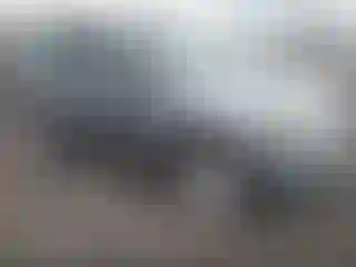 Vehicle Image- 2008 Ford Escape