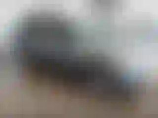 Vehicle Image- 2008 Ford Escape