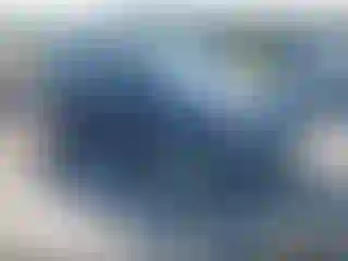 Vehicle Image- 2004 Ford Escape