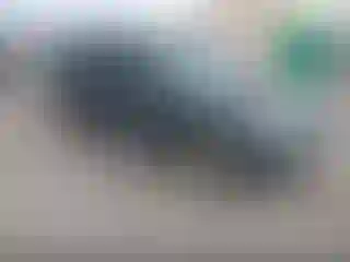 Vehicle Image- 2008 Ford Escape