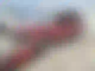 Vehicle Image- 2005 Ford Escape