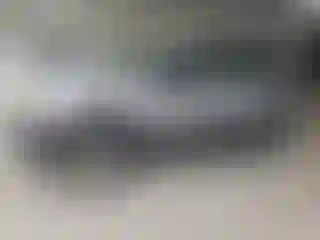 Vehicle Image- 2002 Ford Escape