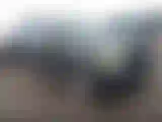 Vehicle Image- 2008 Ford Escape