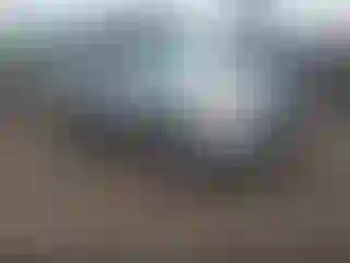 Vehicle Image- 2008 Ford Escape