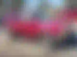 Vehicle Image- 2007 Ford Escape