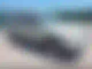 Vehicle Image- 2004 Ford Escape