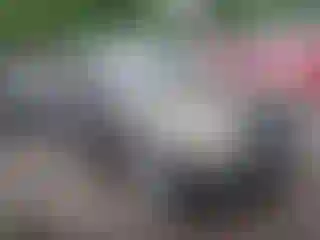 Vehicle Image- 2005 Ford Escape