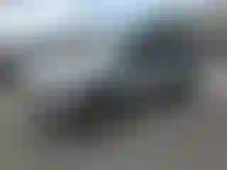 Vehicle Image- 2006 Ford Escape