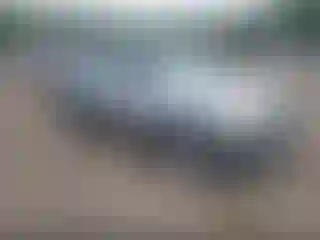 Vehicle Image- 2002 Ford Escape