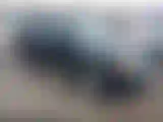 Vehicle Image- 2008 Ford Escape
