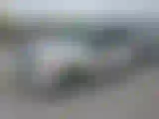 Vehicle Image- 2009 Ford Escape