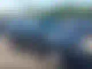Vehicle Image- 2009 Ford Escape