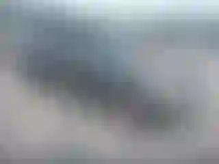 Vehicle Image- 2009 Ford Escape