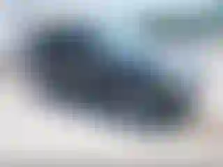 Vehicle Image- 2009 Ford Escape