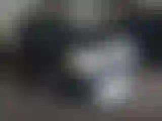 Vehicle Image- 2009 Ford Escape