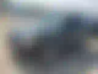 Vehicle Image- 2009 Ford Escape
