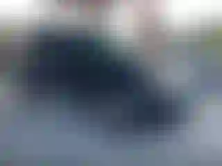 Vehicle Image- 2009 Ford Escape