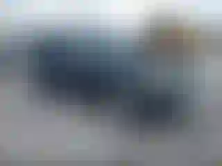 Vehicle Image- 2009 Ford Escape