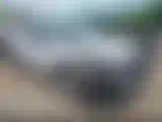 Vehicle Image- 2022 Ford Escape