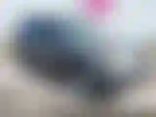 Vehicle Image- 2011 Ford Escape