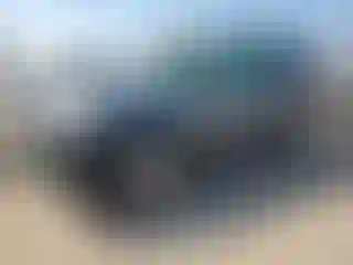Vehicle Image- 2010 Ford Escape