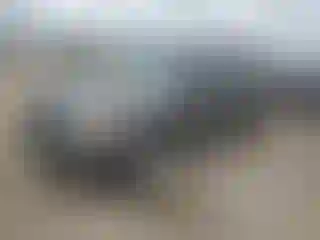 Vehicle Image- 2012 Ford Escape