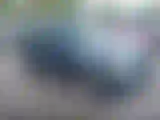 Vehicle Image- 2010 Ford Escape