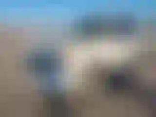 Vehicle Image- 2011 Ford Escape