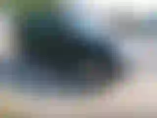 Vehicle Image- 2012 Ford Escape